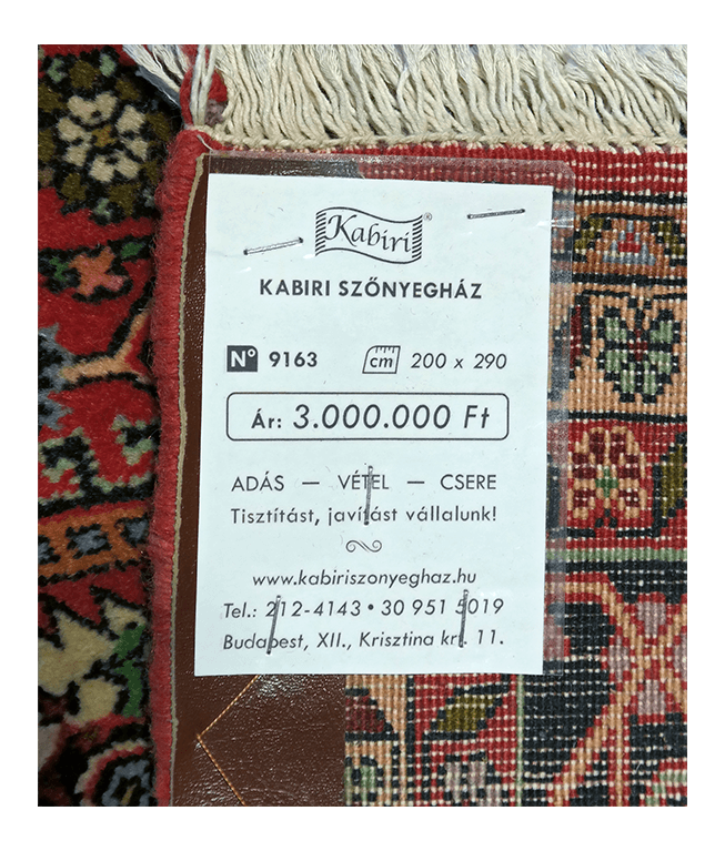 Iráni bijar kézi gyapjú szőnyeg - Image 6
