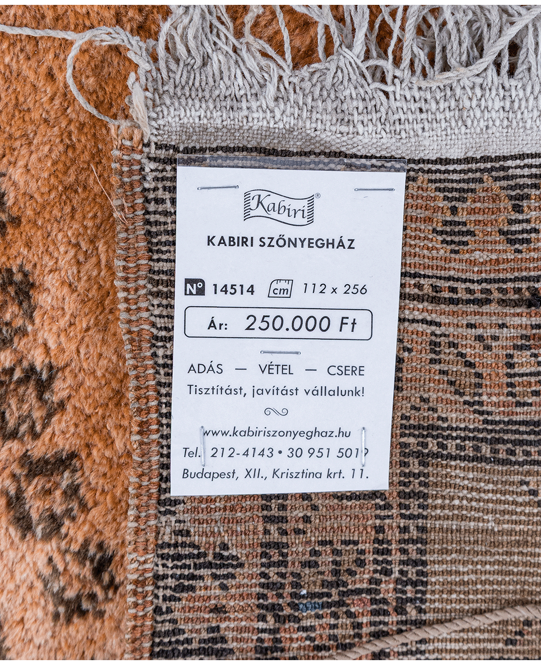 Iráni Hamadan nomád kézi gyapjú faliszőnyeg - Image 6
