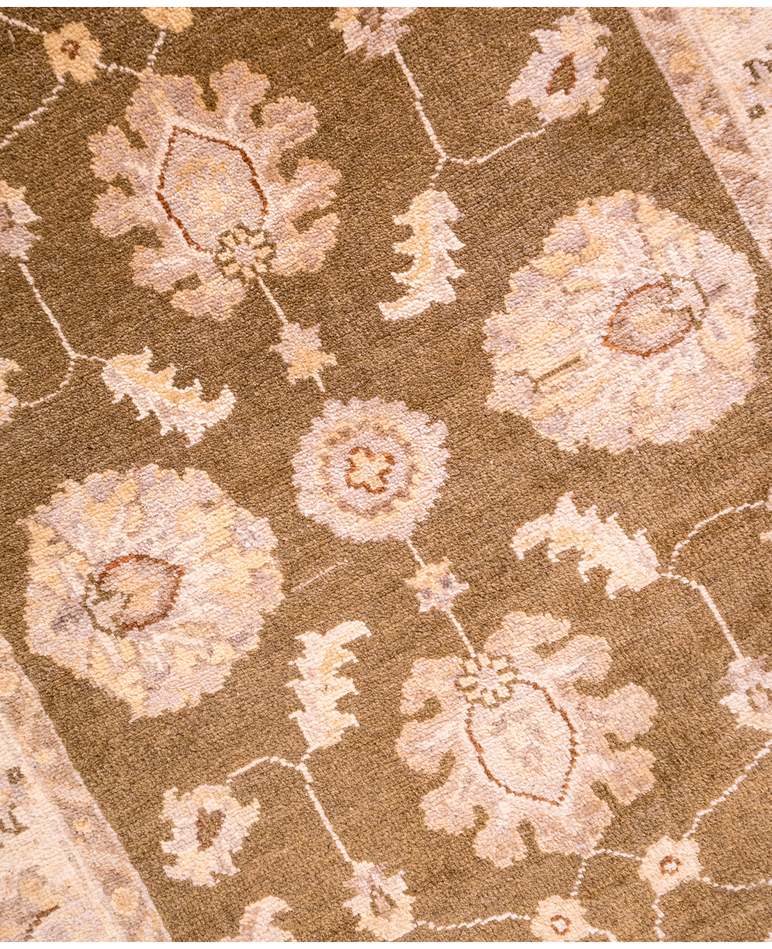 Afghan Ziegler hand-knotted wool rug - Image 3