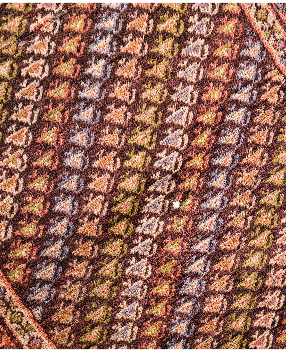Transylvanian hand-knotted wool rug - Image 2