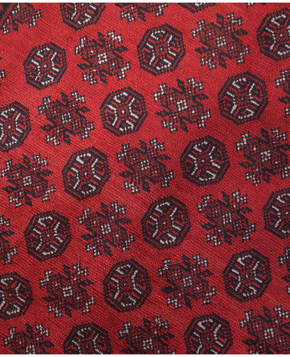 Afghan Bokhara hand-knotted wool rug - Image 3