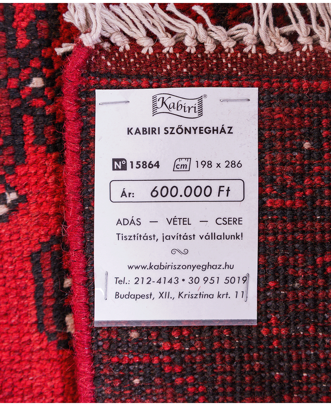 Afghan Bokhara hand-knotted wool rug - Image 6