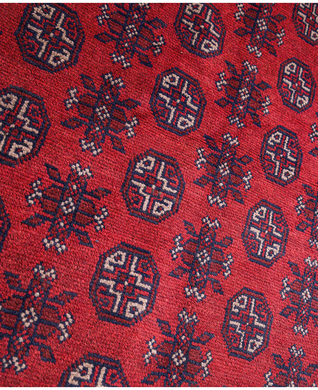 Afghan Bokhara hand-knotted wool rug - Image 4