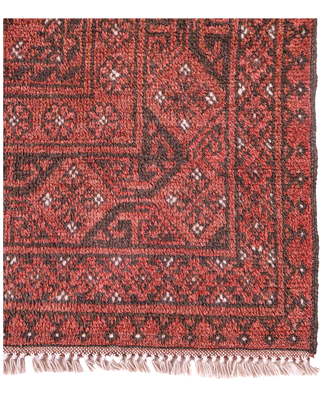 Afghan Bokhara hand-knotted wool rug - Image 2