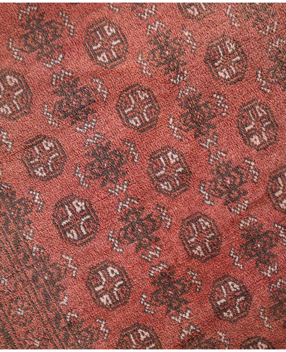 Afghan Bokhara hand-knotted wool rug - Image 3