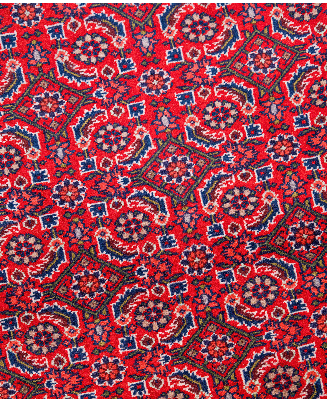 Iranian Bijar Tagab handmade wool rug - Image 4