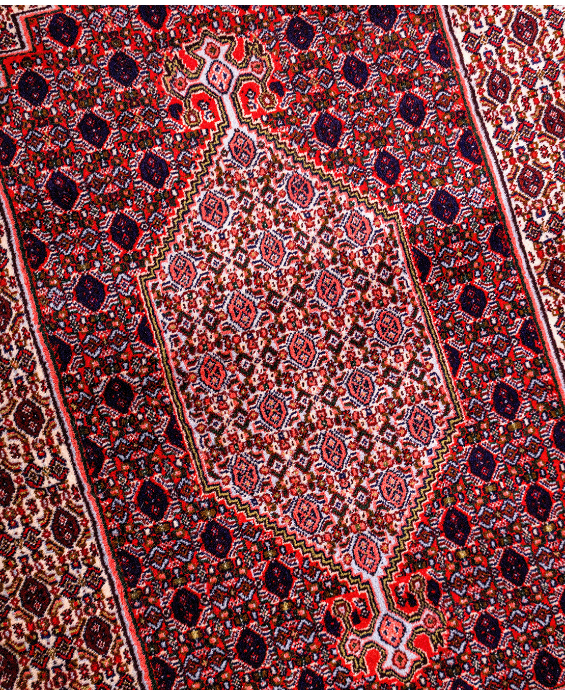 Iranian Bijar hand-knotted wool rug - Image 3