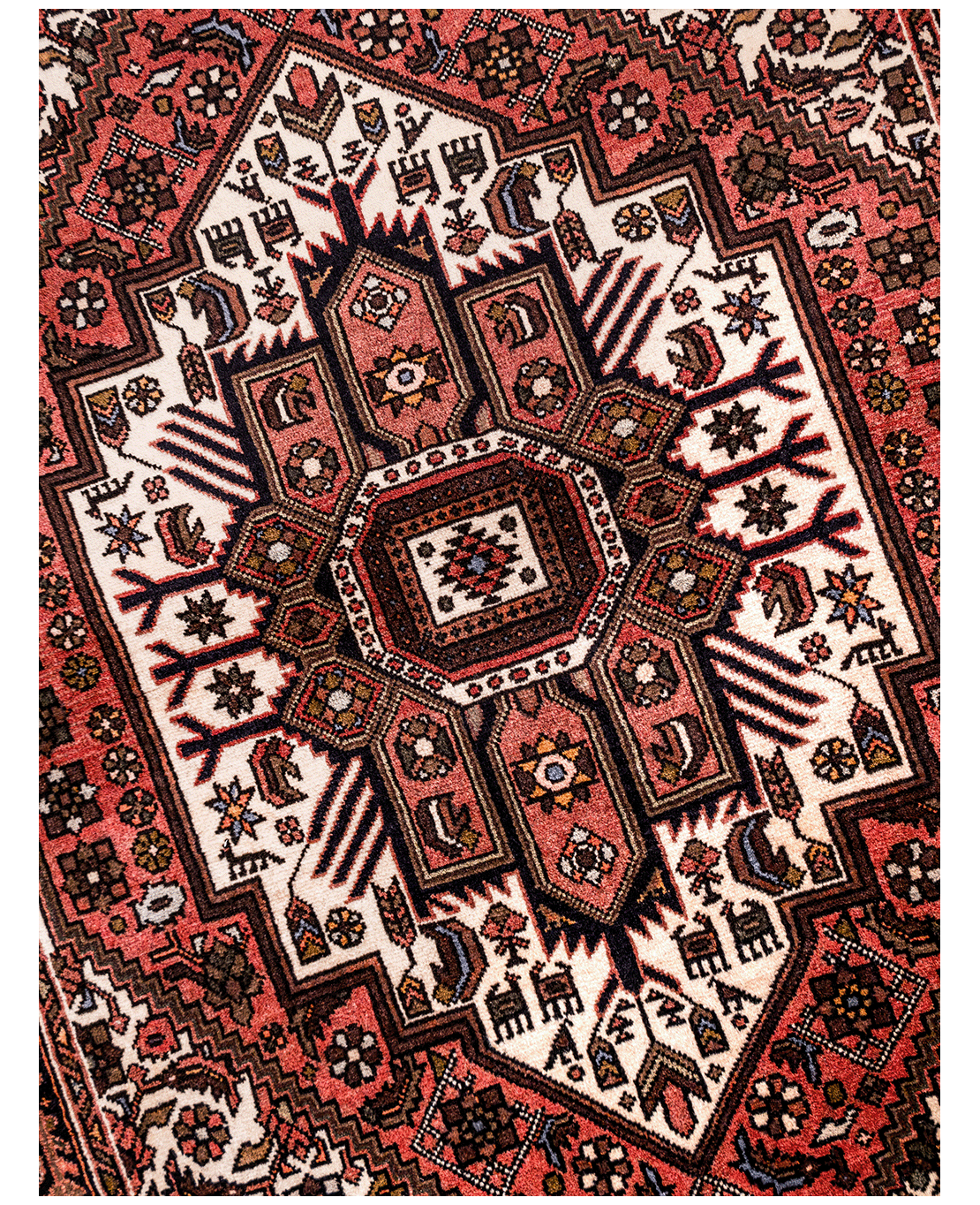 Iranian Bijar Tagab handmade wool rug - Image 3