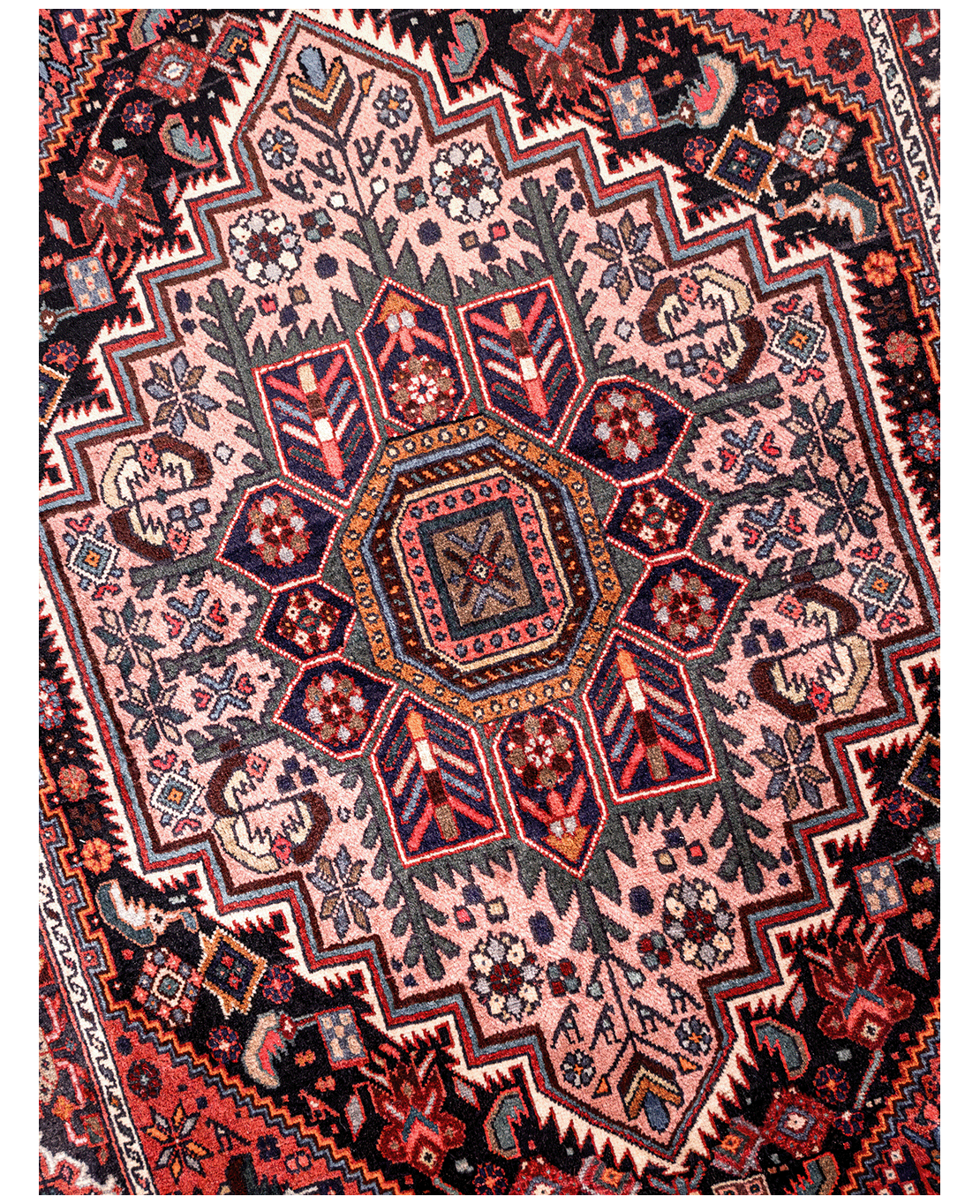 Iranian Bijar Tagab handmade wool rug - Image 3