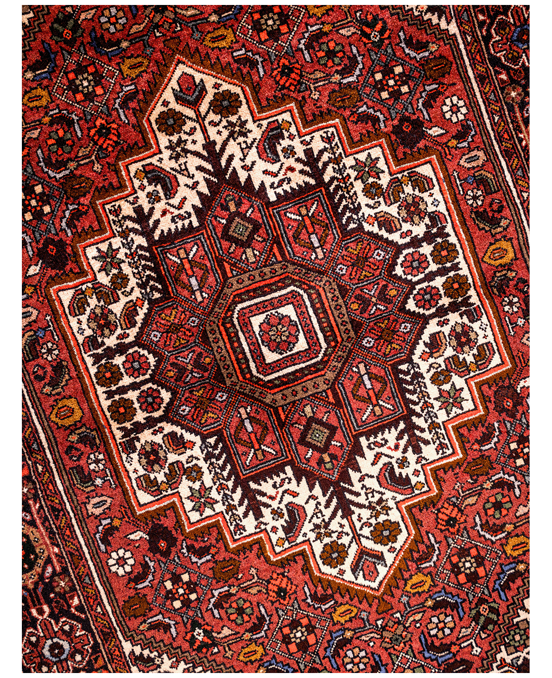 Iranian Bijar Tagab handmade wool rug - Image 3
