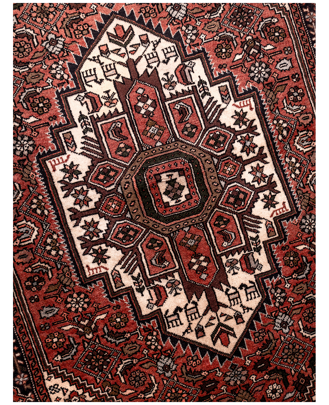 Iranian Bijar Tagab handmade wool rug - Image 3