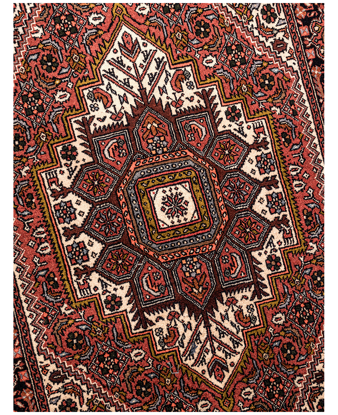 Iranian Bijar Tagab handmade wool rug - Image 3