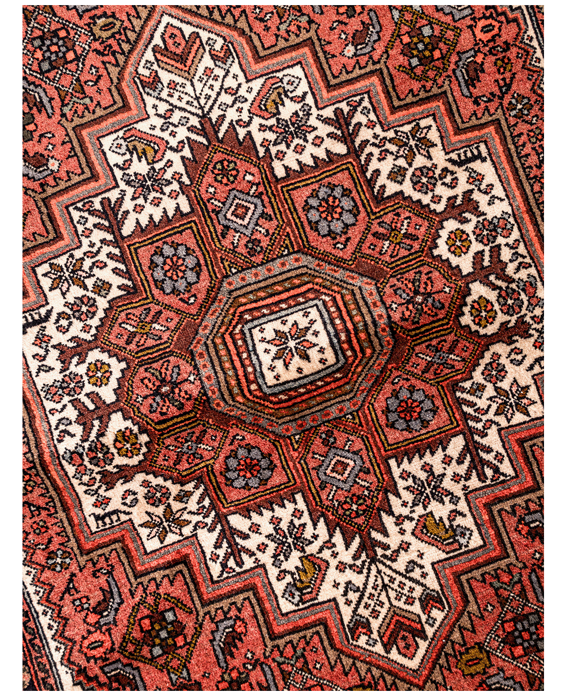 Iranian Bijar Tagab handmade wool rug - Image 3