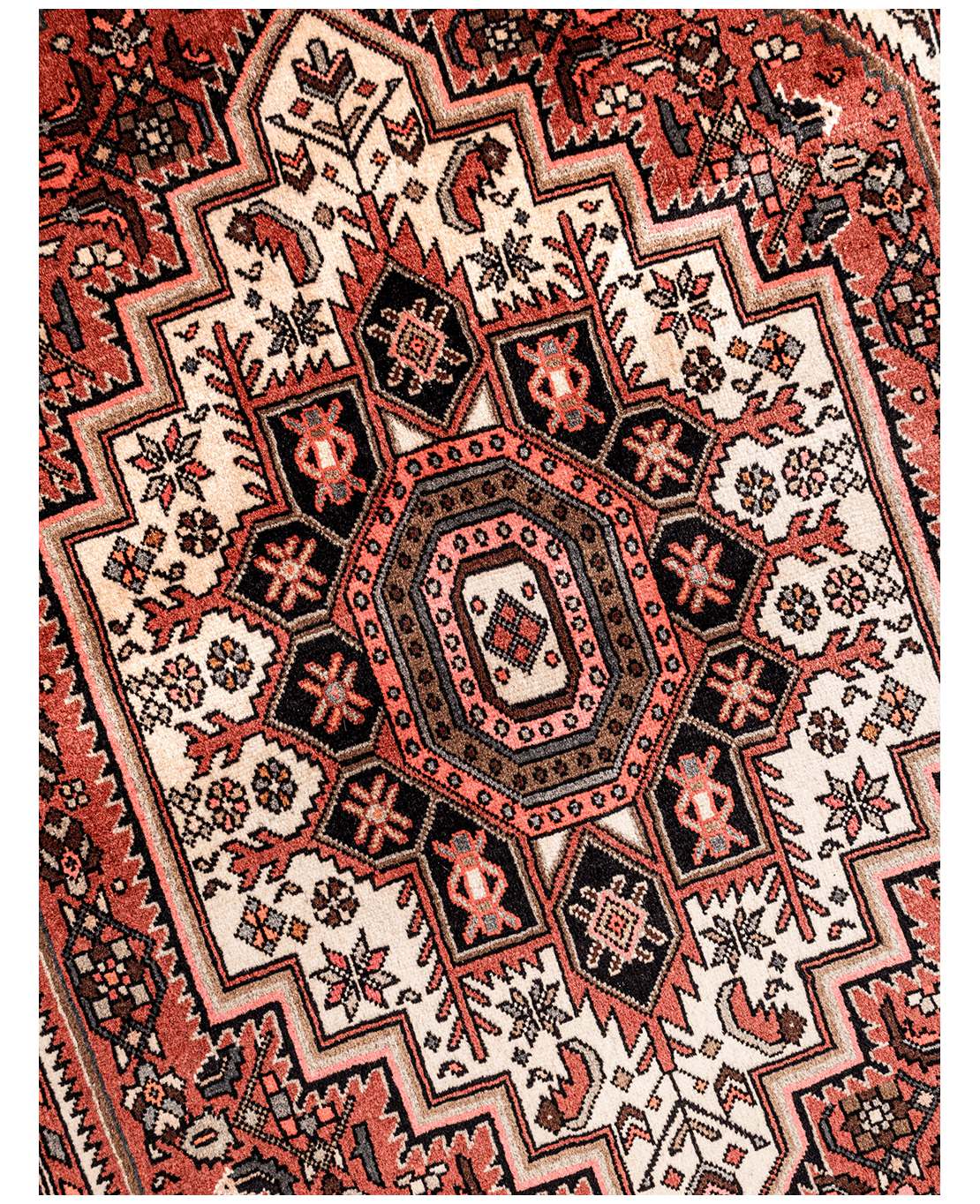 Iranian Bijar Tagab handmade wool rug - Image 3