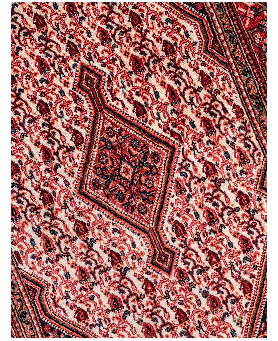 Iranian Bijar Tagab handmade wool rug - Image 3