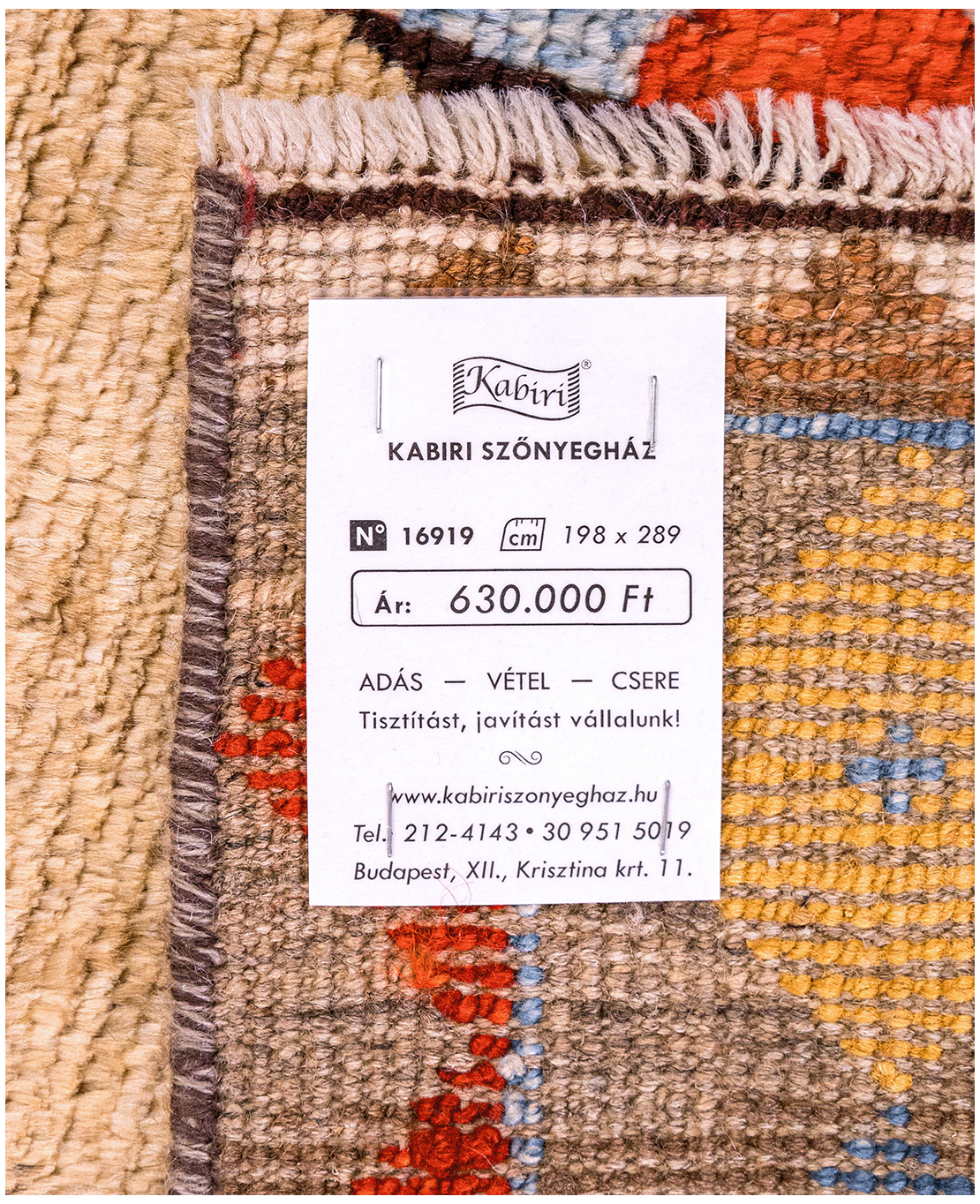 Taimany Berber hand-knotted wool rug - Image 7