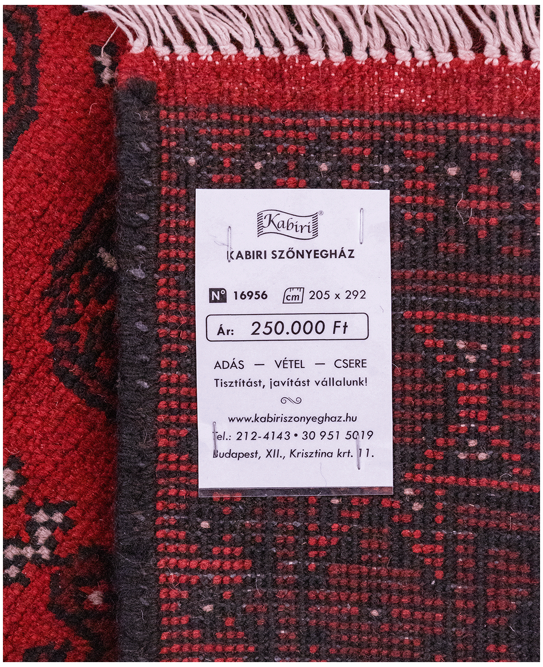 Afghan Bokhara hand-knotted wool rug - Image 6
